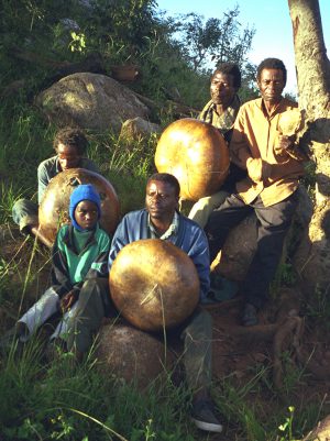 Dambatsoko Mbira Group 1999