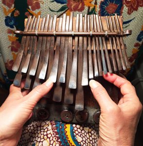 What you see during a Skype mbira lesson