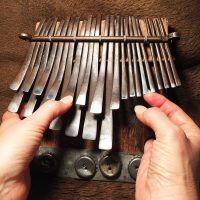 What you see in video mbira lessons